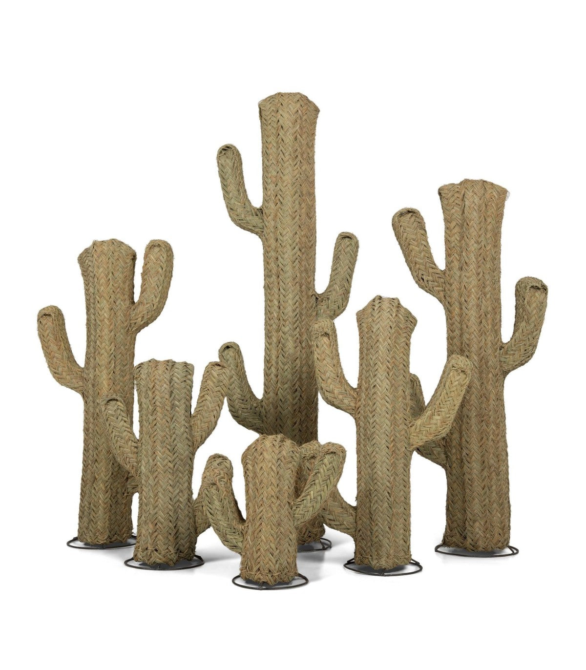 Conjunto de 6 cactus decorativos de esparto Halfa tejidos a mano, diferentes tamaños, sobre fondo blanco