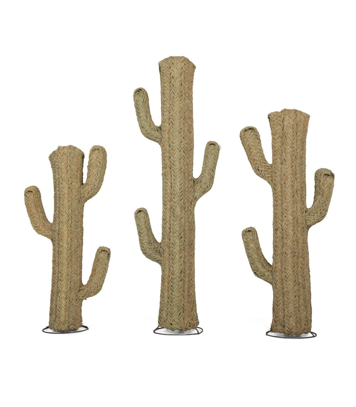 Pack de 3 cactus de fibra vegetal Halfa artesanales en tallas S, M y L sobre fondo blanco